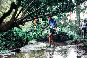 BIB: 
                            <button type="button" onclick="openModal(25399190)" class="btn btn-primary btn-sm float-right btn-popup" data-toggle="modal" data-target=".modal-high-quality">
                        <i class="fas fa-shopping-cart"></i> Add to Cart
                    </button>
                                            <button type="button" onclick="isThisMe(25399190, true)" class="btn btn-success btn-sm float-right btn-popup btn-isme hidden" data-toggle="tooltip" data-placement="bottom" title="นี่คือรูปของคุณใช่ไหม คลิกที่นี่เพื่อเอาเข้าอัลบั้ม">
                        <i class="fas fa-plus"></i> Add to album
                    </button>
                    <button type="button" onclick="isThisMe(25399190, false)" class="btn btn-warning btn-sm float-right btn-popup btn-isnotme hidden">
                        <i class="fas fa-ban"></i> Remove from album
                    </button>